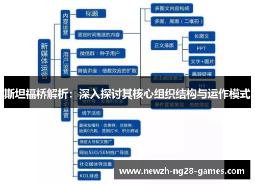 斯坦福桥解析：深入探讨其核心组织结构与运作模式