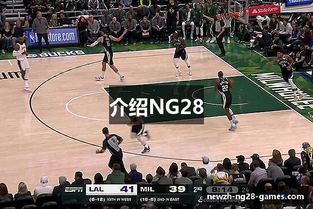 介绍NG28